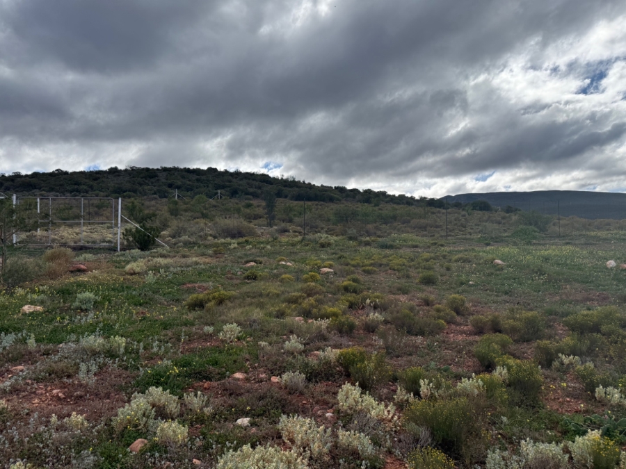  Bedroom Property for Sale in Van Wyksdorp Western Cape